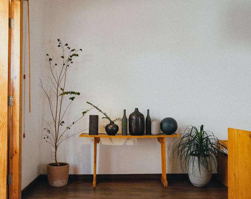 pottery and indoor plants